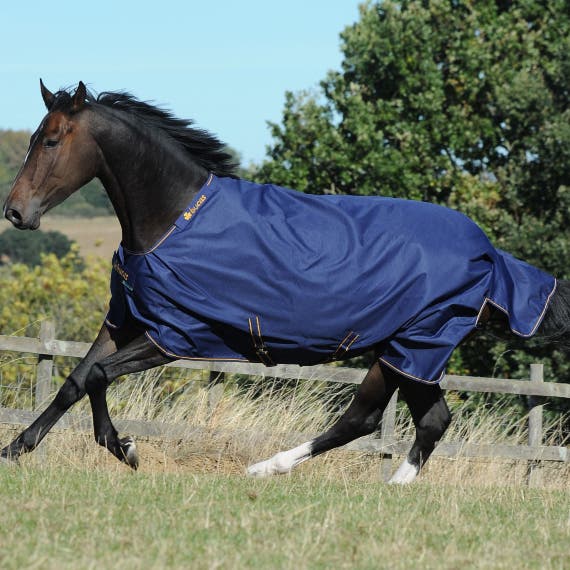 Vinterdekken Bucas Irish Turnout 150 Navy/gold