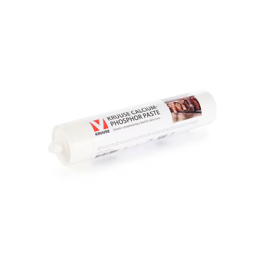 KRUUSE Calcium/Fosfor Pasta, 4 st/frp