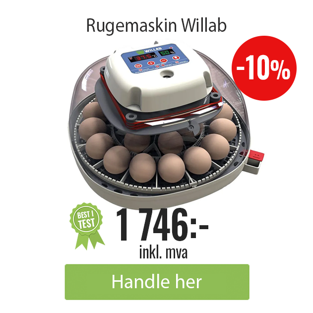 Rugemaskin Willab med innebygd led-paere